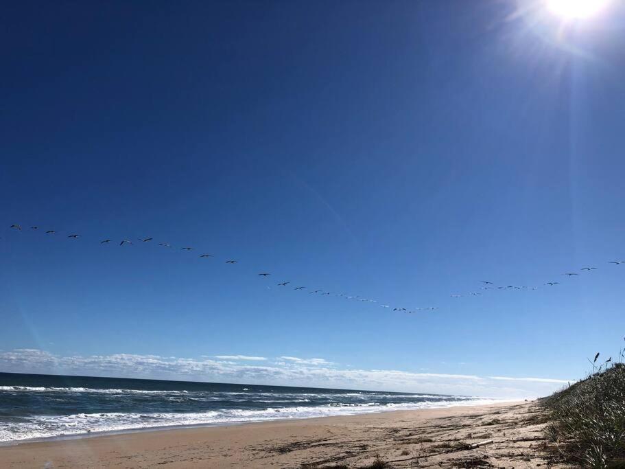 Zen Beach Retreat - Ocean View Townhouse -No Drive Beach New Smyrna Beach Buitenkant foto